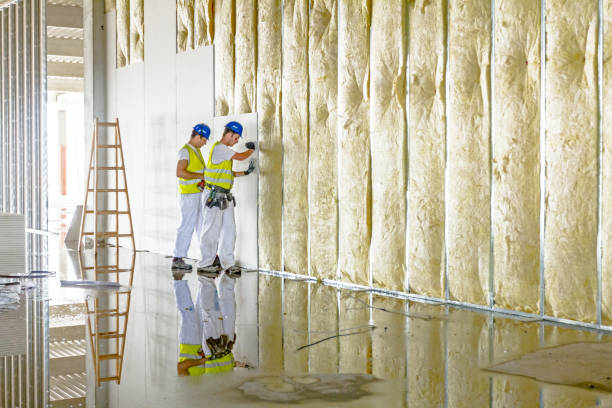 Best Wall Insulation Installation  in Bayou Blue, LA